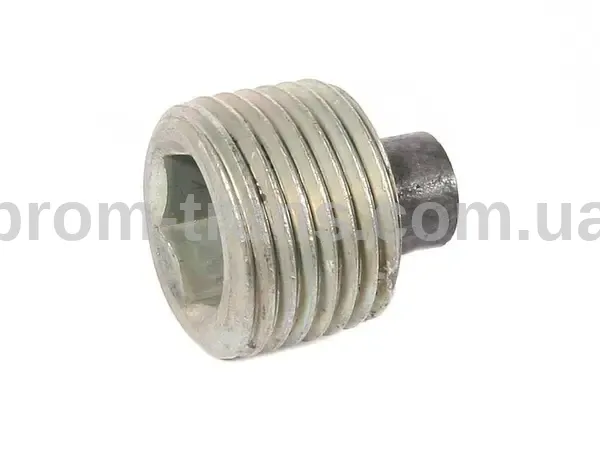 Пробка картера магнитная ГАЗ (пр-во ГАЗ) 31029-1701098